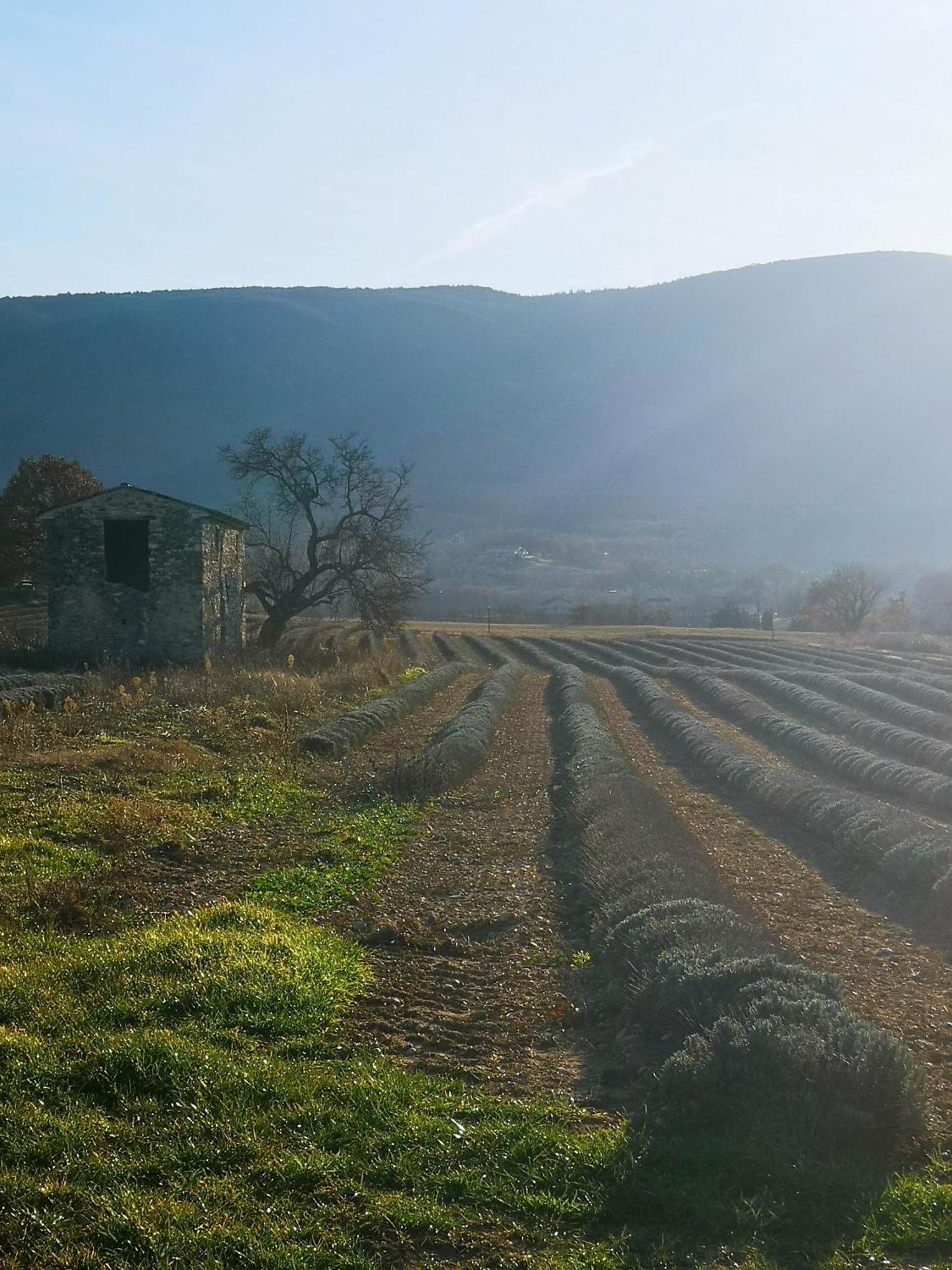 Le Petit Paradis Villa Saint-Martin-de-Castillon Eksteriør bilde